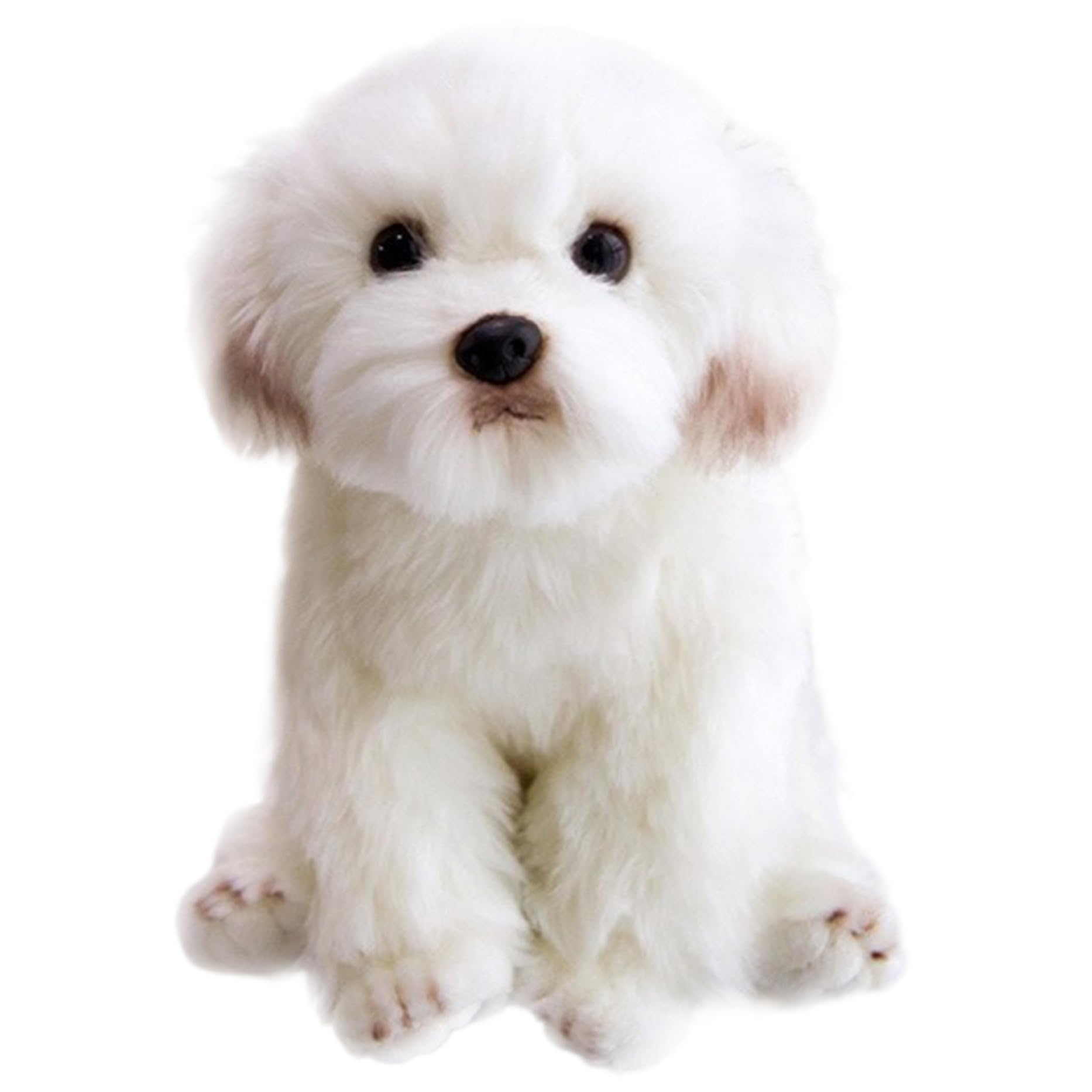 Amazon.co.jp: マルチーズ ぬいぐるみ 9.5インチ リアルな犬