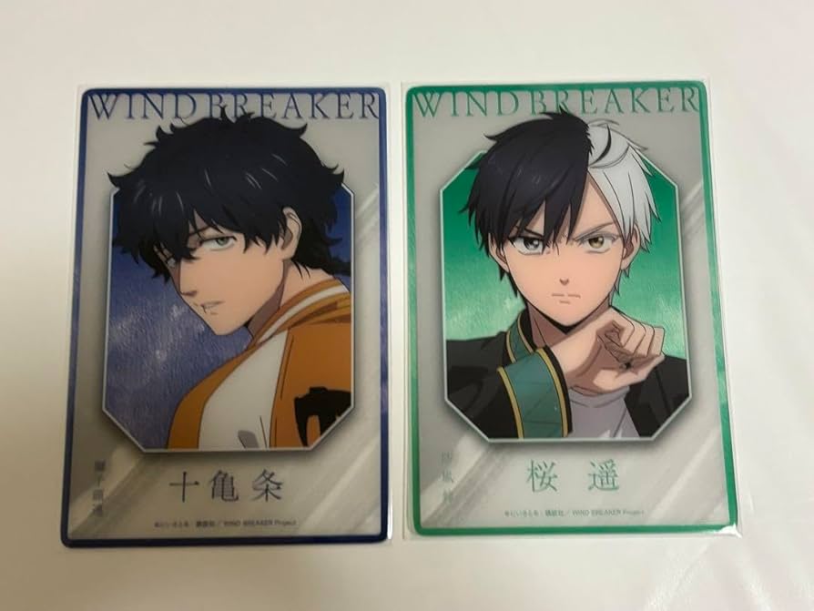 Amazon.co.jp: WIND BREAKER ウィンブレ ベースヤード クリアカード