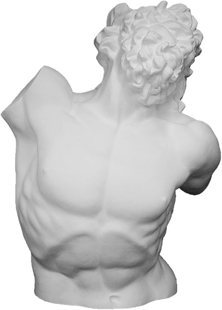 Amazon.co.jp: 石膏像 H－011 ラオコーン半身像 H．85cm