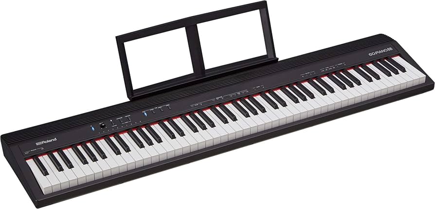 Amazon.co.jp: Roland Roland GO-88P GO:PIANO88 Entry Keyboard