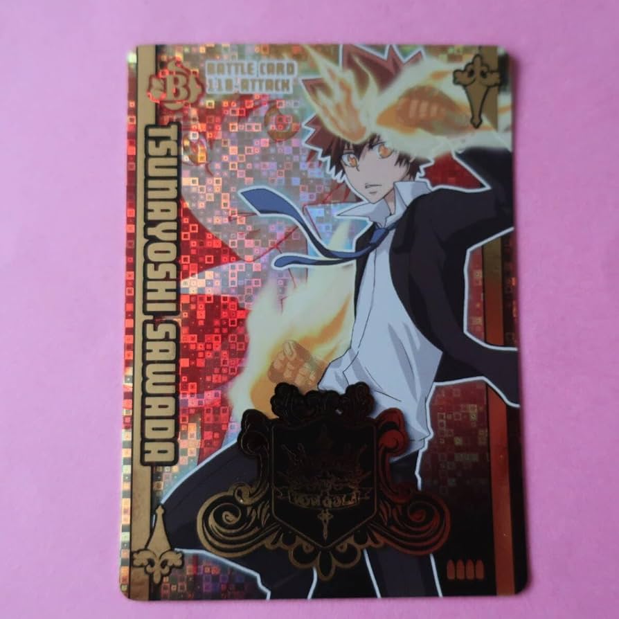 家庭教師ヒットマンREBORN ccg サザンクロスバトル11枚セット 獄寺隼人