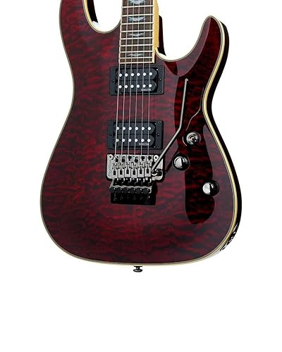 Amazon.com: Schecter Omen Extreme-6 FR Electric Guitar - Black