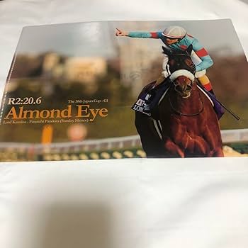 Amazon.co.jp: 第80回日本ダービー キズナ 武豊サイン : 文房具