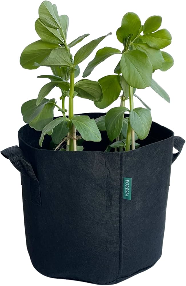 Amazon.co.jp: 不織布プランター 3ガロン 5個入り ベランダ栽培 不織布