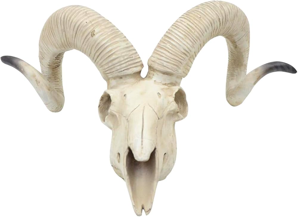 Amazon.co.jp: 羊の頭蓋骨モデル-3D動物彫刻樹脂羊の頭蓋骨モデル-羊の