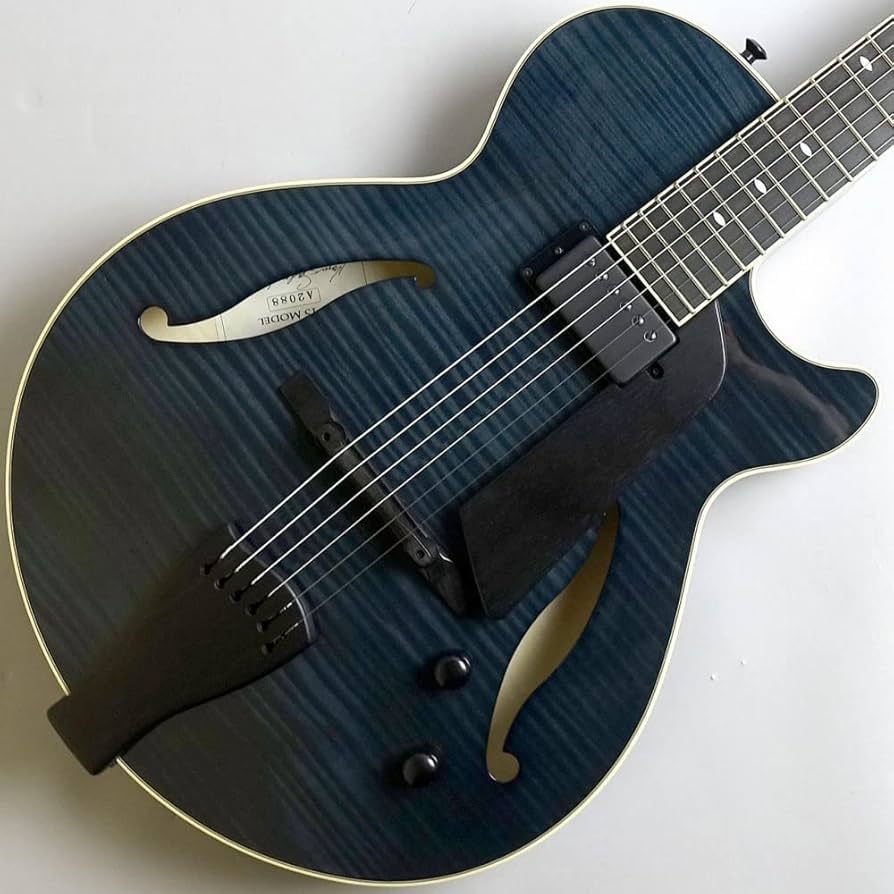 Amazon | Sadowsky Archtop SS-15 Transparent Black #A2088 フルアコ