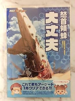 Amazon.co.jp: ☆怒首領蜂大往生 臨廻転生 布ポスター 怒首領蜂大丈夫
