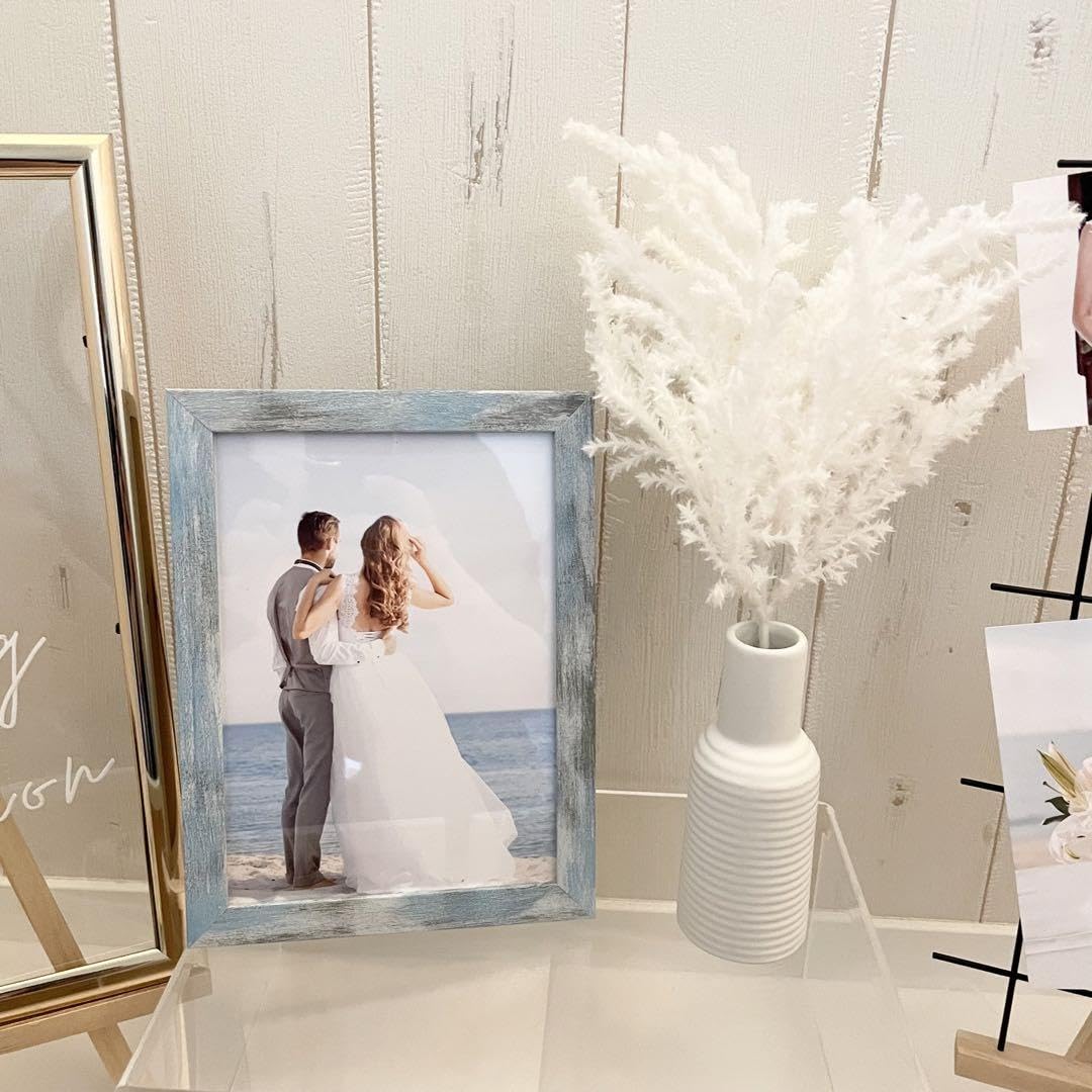 Amazon.co.jp: ︎ウェルカムスペース ミールヘーデン風 リゾート婚 海