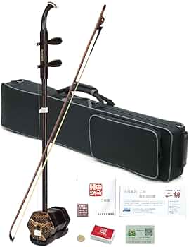 61Bh33IvFZL._AC_UF350,