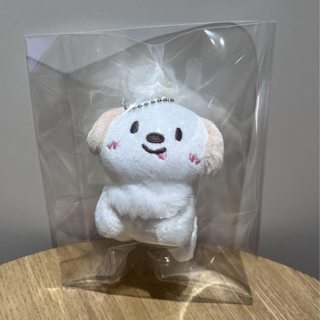 Amazon.co.jp: 韓流ショップ購入 RIIZE アントン ぬいぐるみ