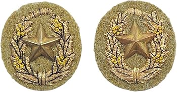 Amazon.co.jp: 日本陸軍 見習士官 士官候補生 特別徽章 襟章 日本軍