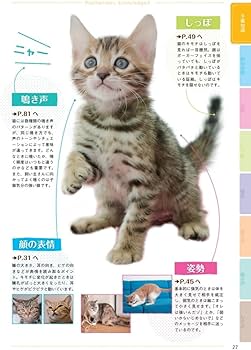 Amazon.co.jp: 猫語辞典 オールカラー: にゃんこのキモチがわかっ