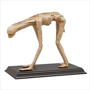 Amazon | JUNK HEAD フィギュアマスコット17体セット | フィギュア