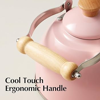 Amazon.com: ROCKURWOK Tea Kettle, Tea Pot with Cool Touch