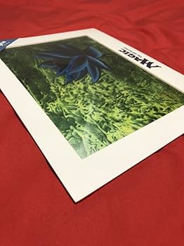Amazon.co.jp: MTG アートプリント Black Lotus ブラックロータス複製