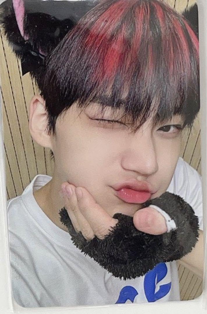 Amazon.co.jp: EVNNE イブン music&drama パクハンビン 猫トレカ