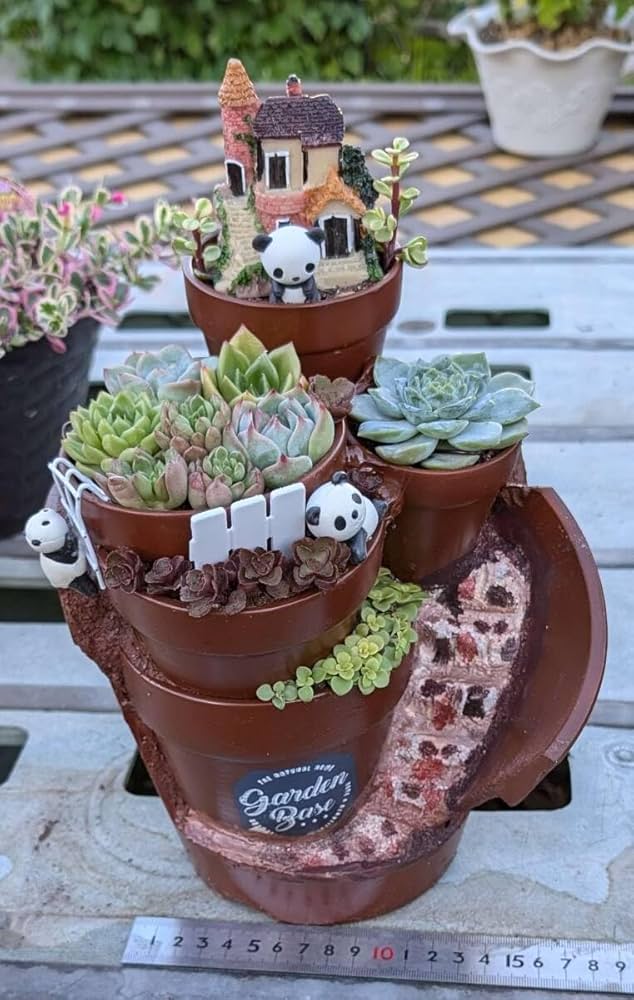 Amazon.co.jp: 082104多肉植物の寄せ植え組鉢作品モルタル造形6号深鉢6