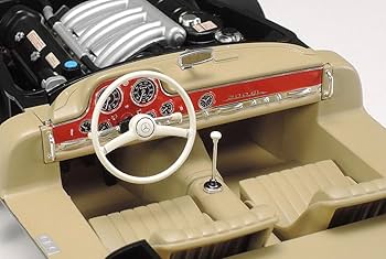 61Dg1pSJmWL._AC_UF350,