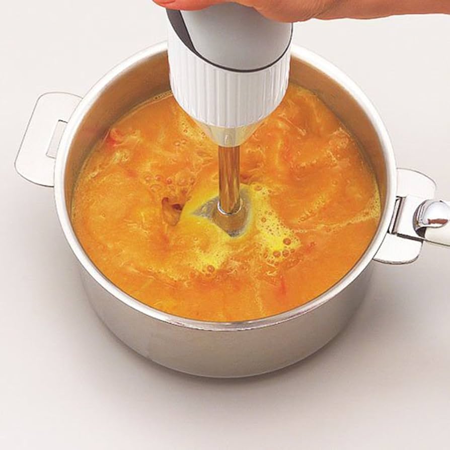 Amazon.com: Victorinox 102.206 12000 RPM Bamix-Mono 133 Hand Mixer