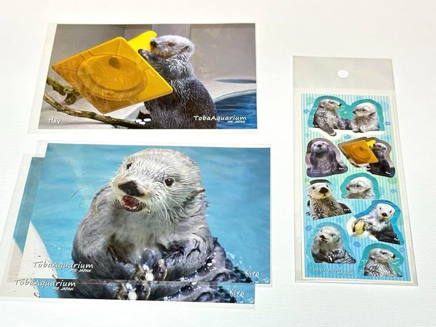 N*K様 鳥羽水族館 70周年 コレクションカード レア キラメイ キラ レア