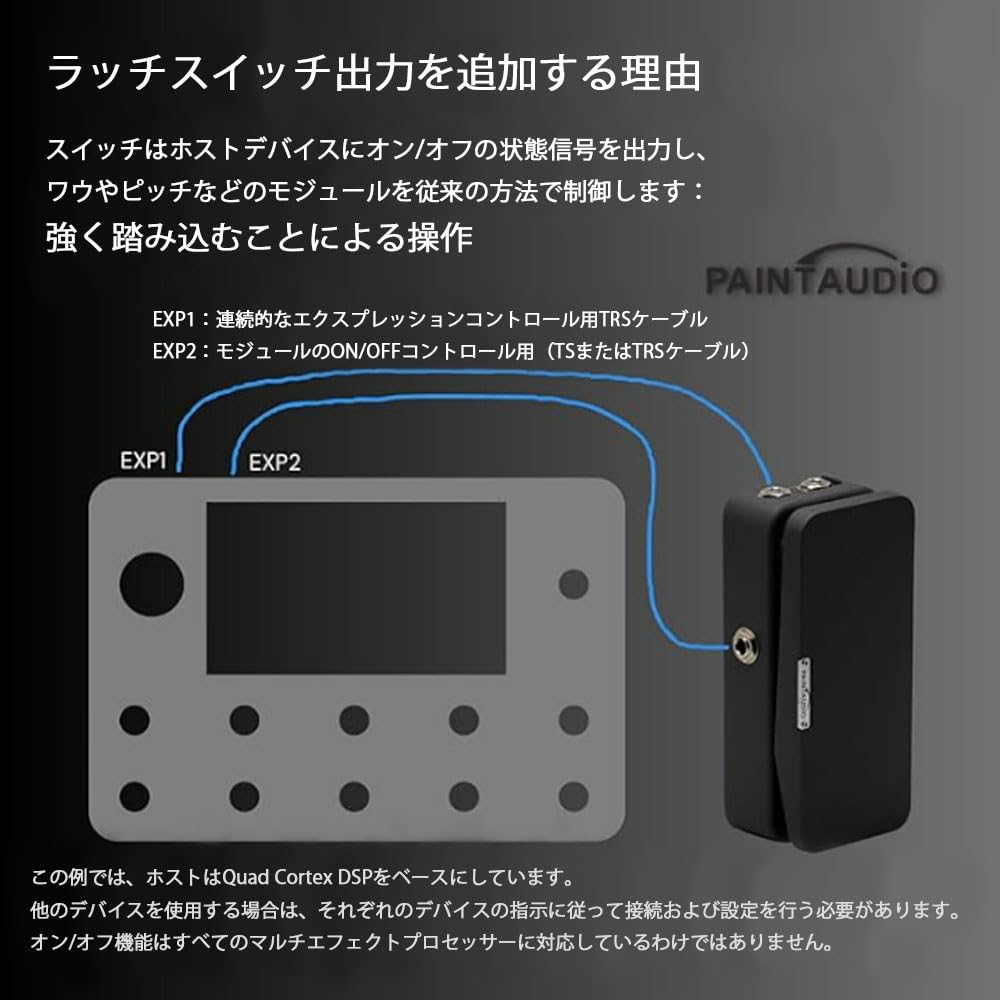 Amazon | 【国内正規品】PAINTAUDIO FOOT CAPTAIN SWL