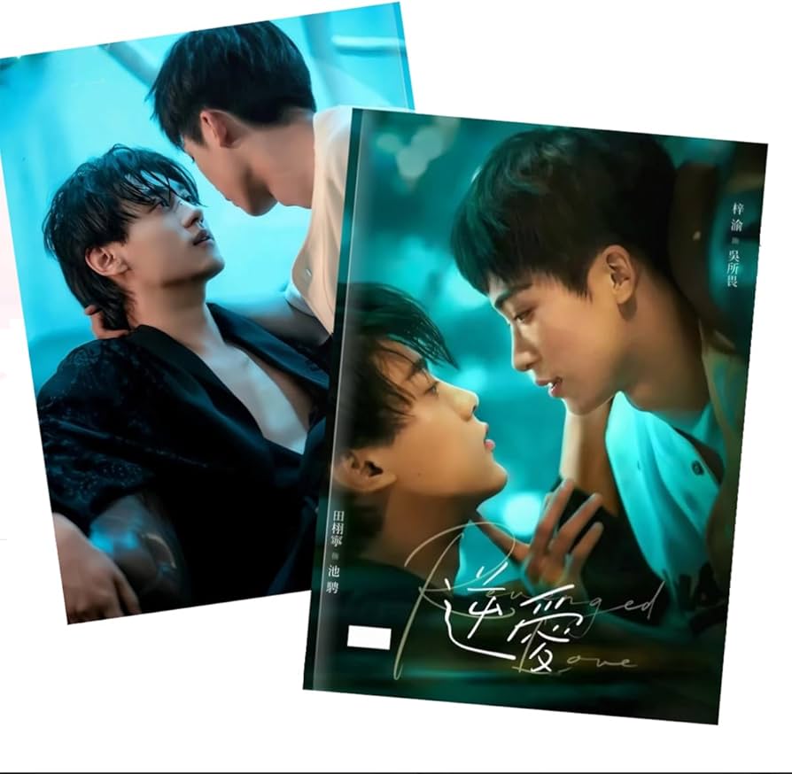 Amazon.co.jp: 写真 逆愛～Revenged Love～ 写真集 グッズ 中国BL