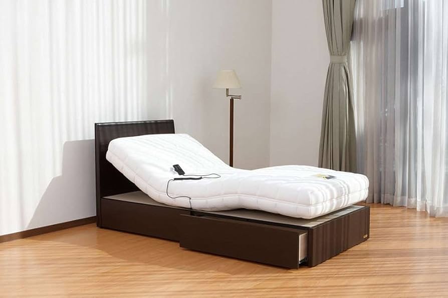 Amazon.co.jp: フランスベッド 電動リクライニングマットレス ルーパー