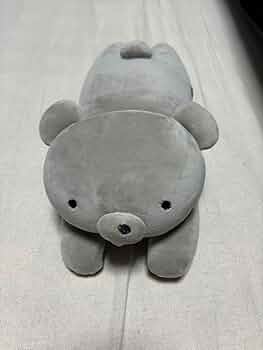 61EcgXM19hL._AC_UF350,