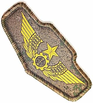 61EehEmg4hL._AC_UF350,