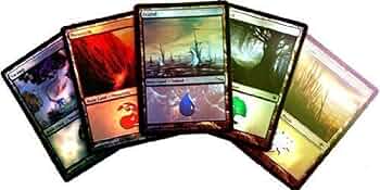 Amazon.com: MTG Magic the Gathering 20 Assorted Foil Land (4