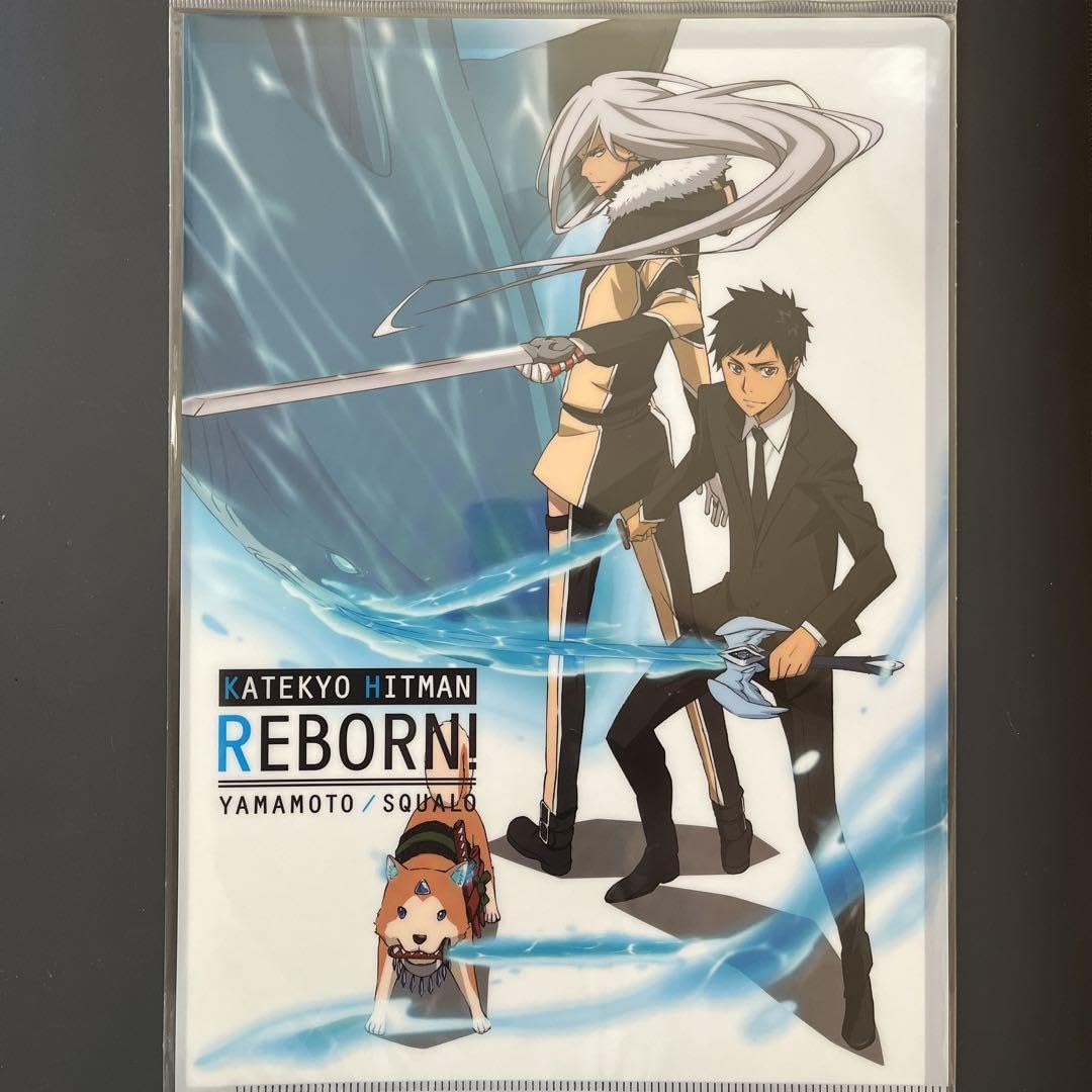 Amazon.co.jp: 家庭教師ヒットマンreborn！ a4クリアファイル売り : ホビー