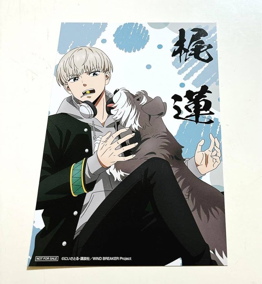 Amazon.co.jp: WIND BREAKER ウィンブレ LOFT 特典 イラストカード 梶