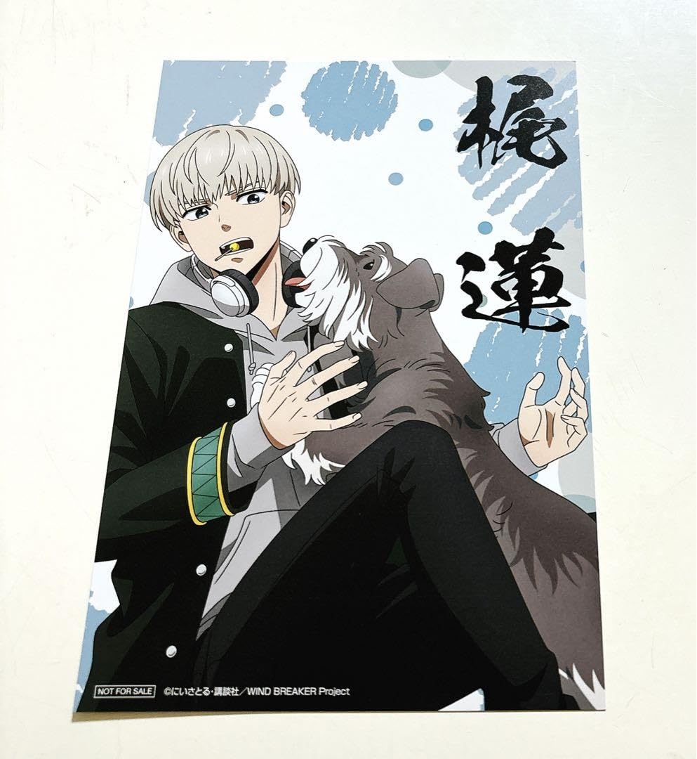 Amazon.co.jp: WIND BREAKER ウィンブレ LOFT 特典 イ カード 梶蓮