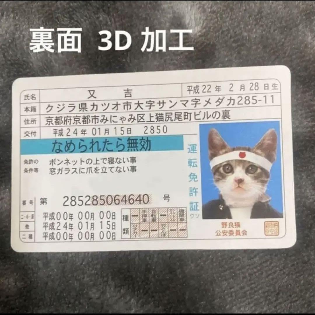 Amazon.co.jp: 希少品 なめんなよ猫 なめ猫又吉免許証 裏面 3D 加工