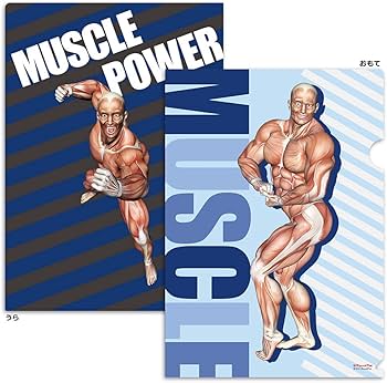 Amazon.co.jp: 筋次郎コレクション1DX クリアファイル5枚セット