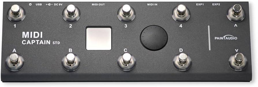 Amazon | 【国内正規品】PAINTAUDIO MIDI CAPTAIN STD | 10フット