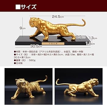 61FhdLTwEtL._AC_UF350,