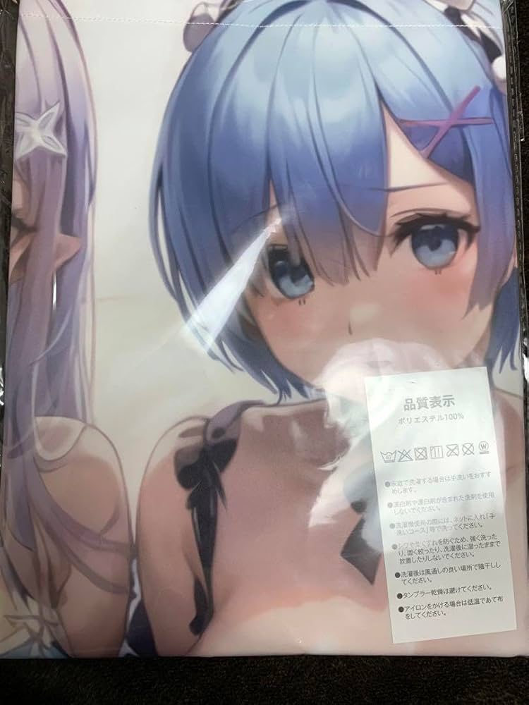 Amazon.co.jp: リゼロ エミリア&レム b2タペストリー : おもちゃ