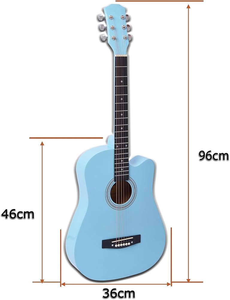 Amazon | Aryari アコギ 水色 アコースティックギター 初心者入門練習