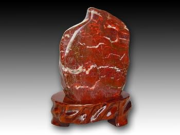 61GLPf2Oa1L._AC_UF350,