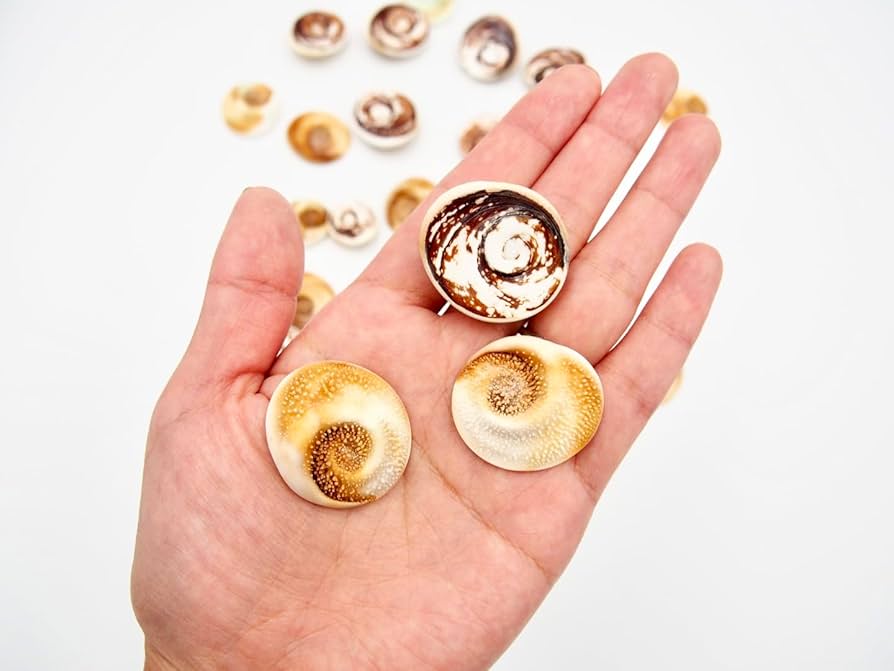 61GbkeHU4GL._AC_UF894,