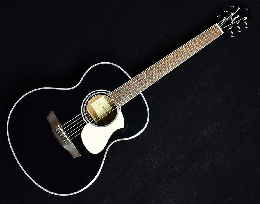 Amazon | James J-450A/Ova Black アコースティックギター エレアコ