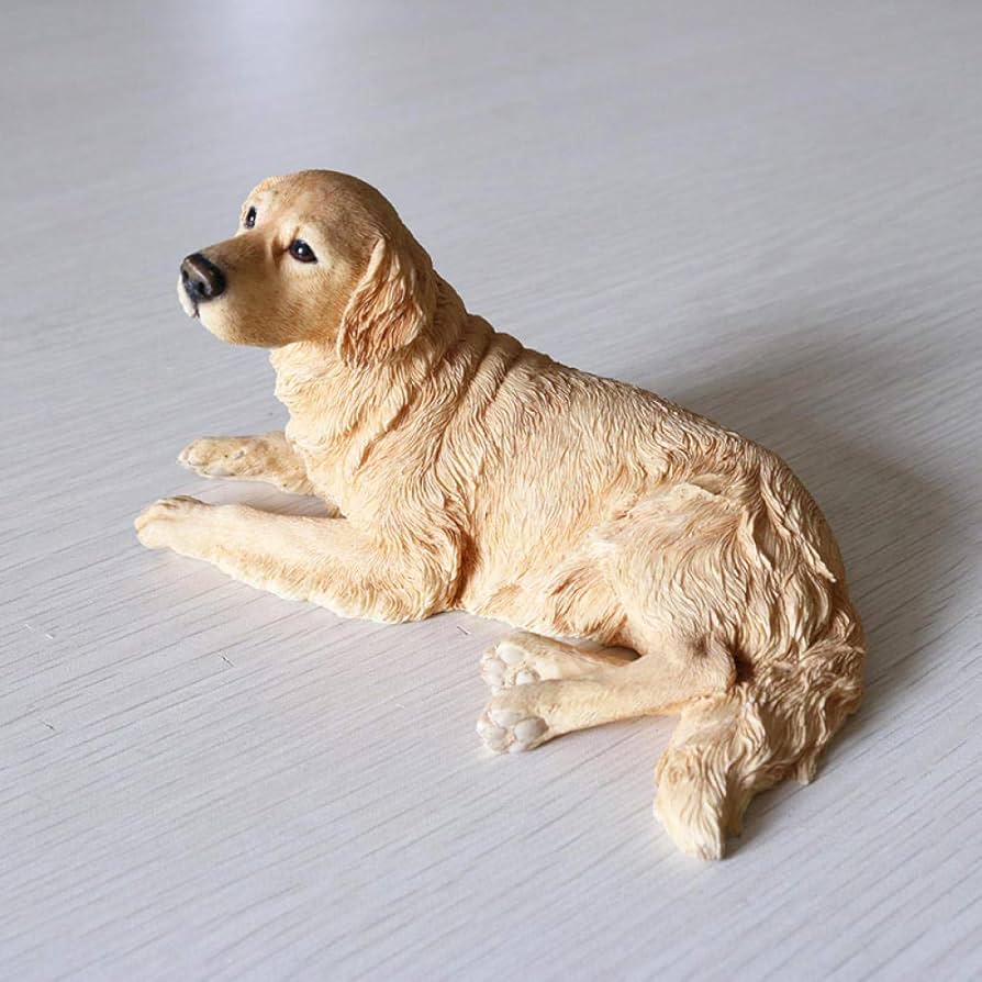 61HXOtn9o+L._AC_UF894,