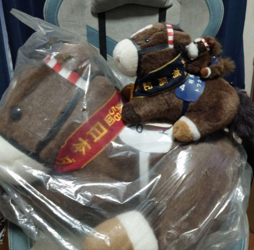 Amazon.co.jp: AVANTI トウカイテイオー2Lサイズぬいぐるみ 日本