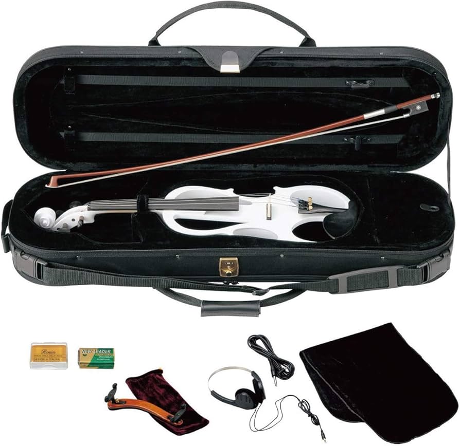 Amazon | キクタニ エレクトリックバイオリン セット 4/4サイズ ESV