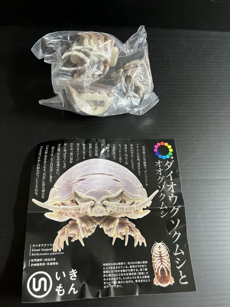 Amazon.co.jp: ダイオウグソクムシとオオグソクムシ フィギュア