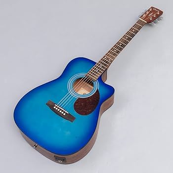 Amazon | Cort CAG-1FC Earth Blue エレアコ アコースティックギター