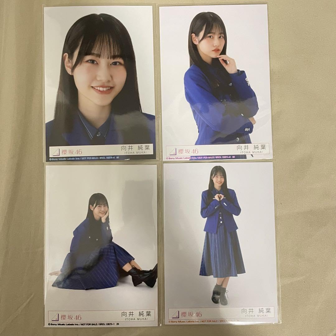 櫻坂46 向井純葉クッションサイン縁日