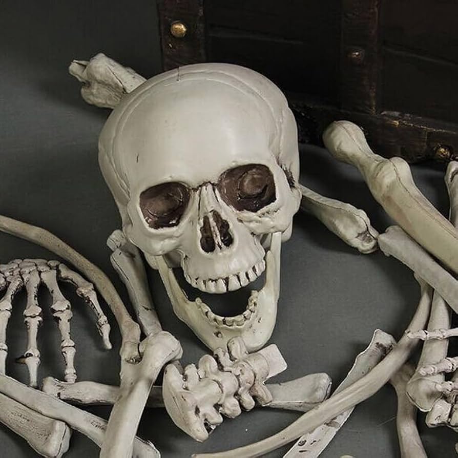 Amazon.co.jp: バラエティ本舗 骸骨 28個セット スカル ドクロ