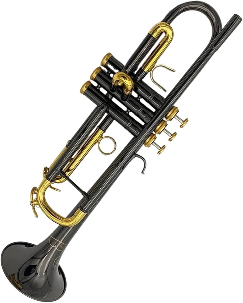 Amazon | スタンダード トランペット ブラックトランペット 彫刻された